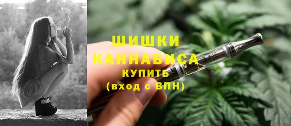 индика Бронницы