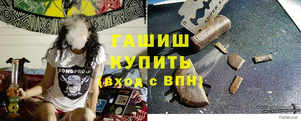 индика Бронницы