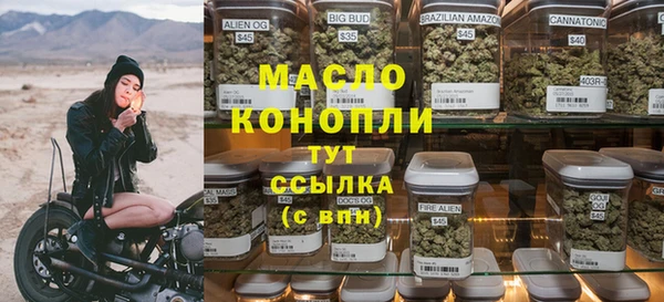 индика Бронницы