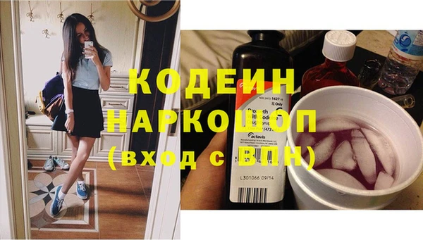 индика Бронницы