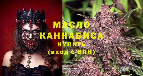 стафф Вязьма